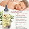 Olio organico di massaggio di cura di pelle dell'eucalyptus per la femmina